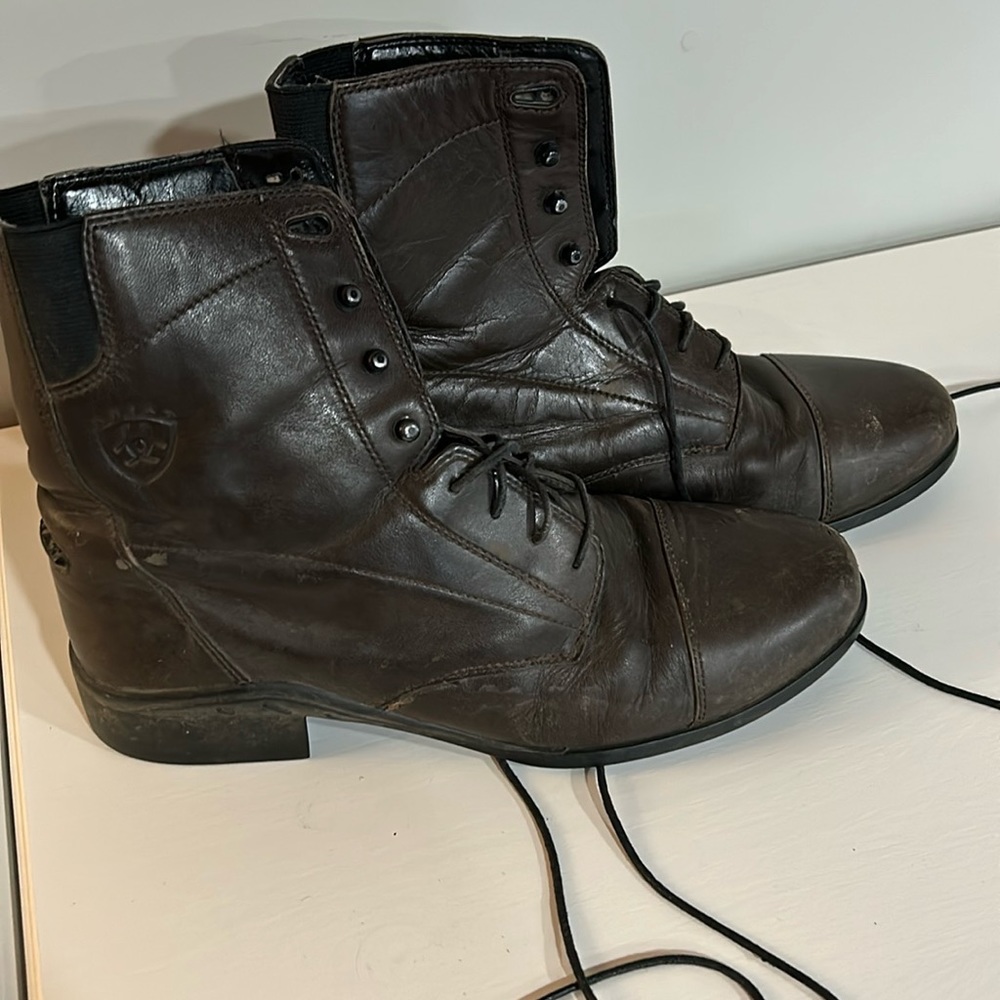 ARIAT paddock boot Sz 9.5 EUC